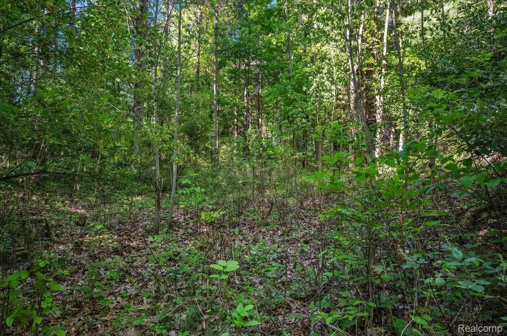 6250 Stine Road Goodland Township MI 48444