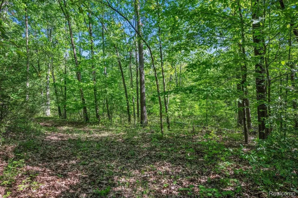6250 Stine Road Goodland Township MI 48444