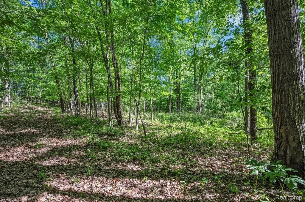 6250 Stine Road Goodland Township MI 48444
