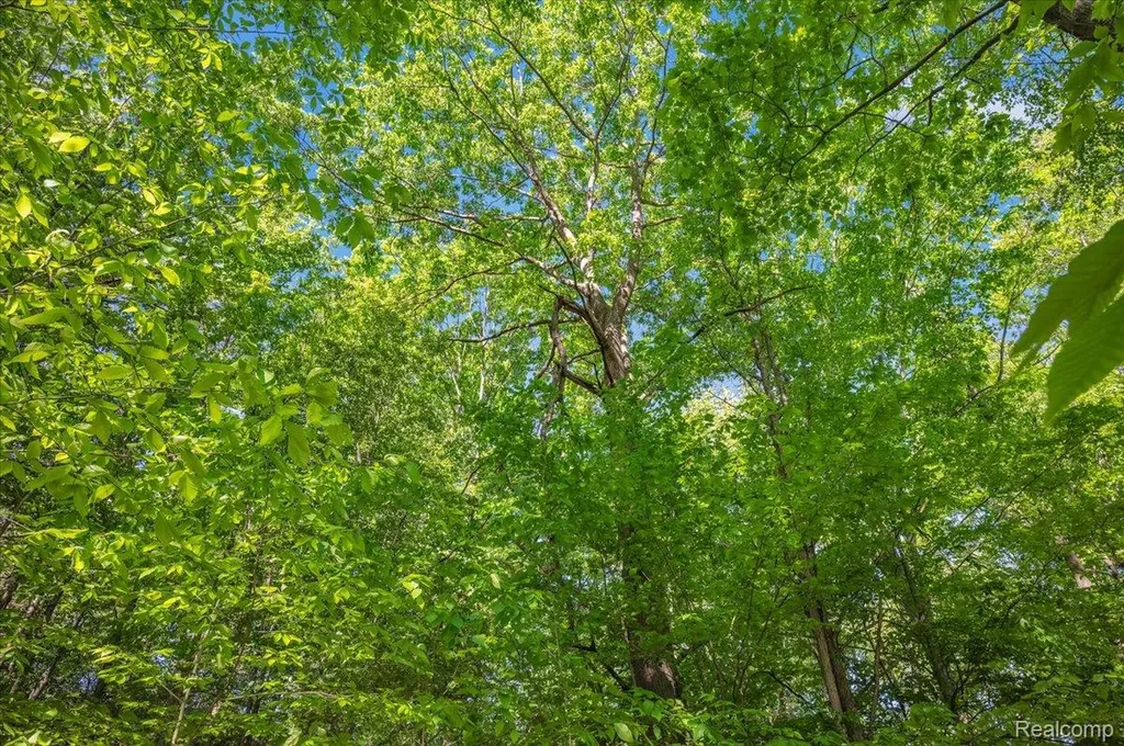 6250 Stine Road Goodland Township MI 48444