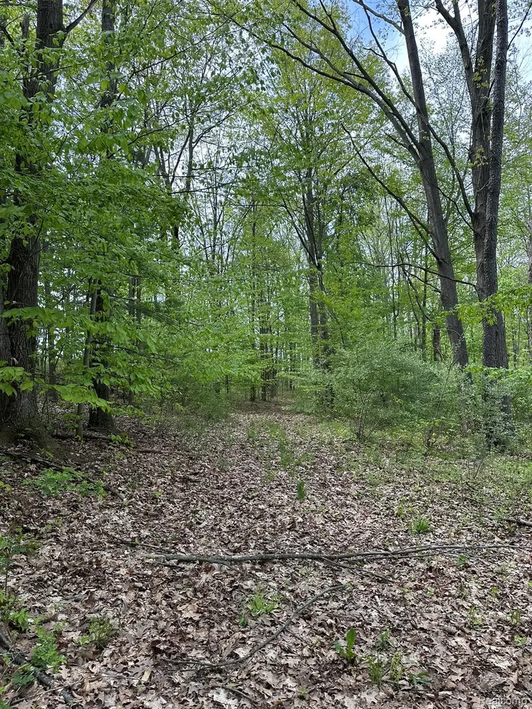 6250 Stine Road Goodland Township MI 48444