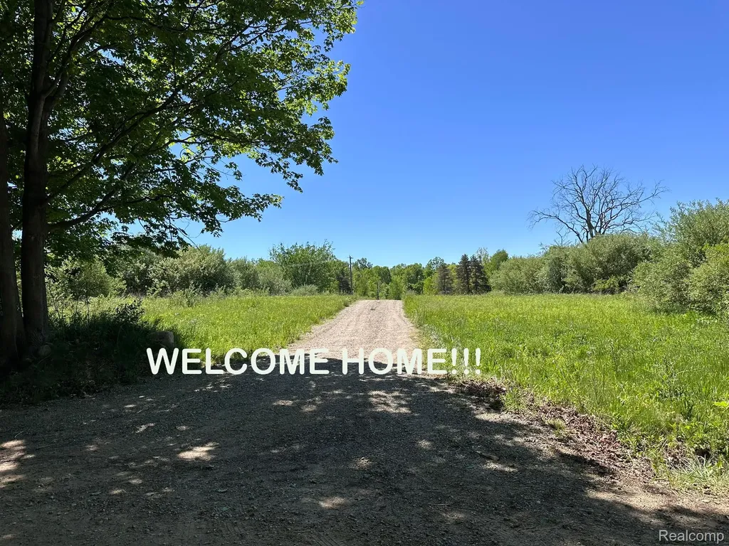 6250 Stine Road Goodland Township MI 48444