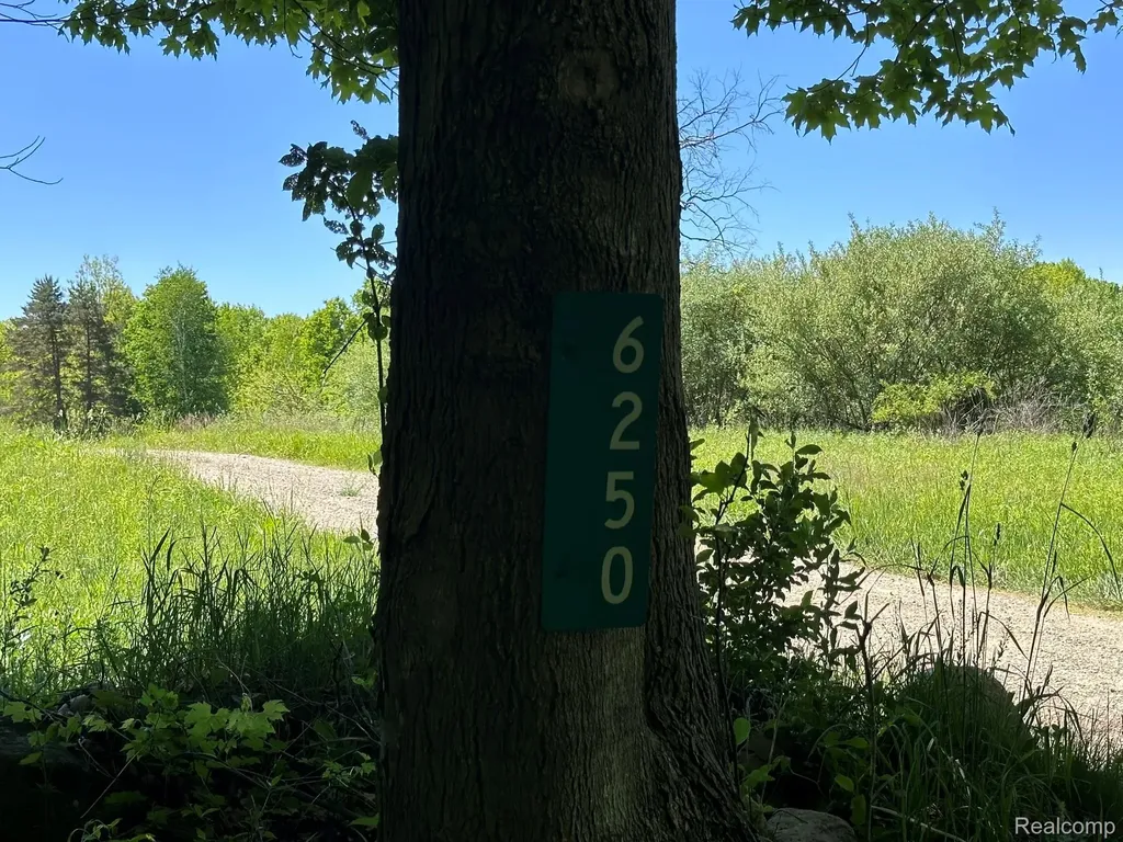 6250 Stine Road Goodland Township MI 48444