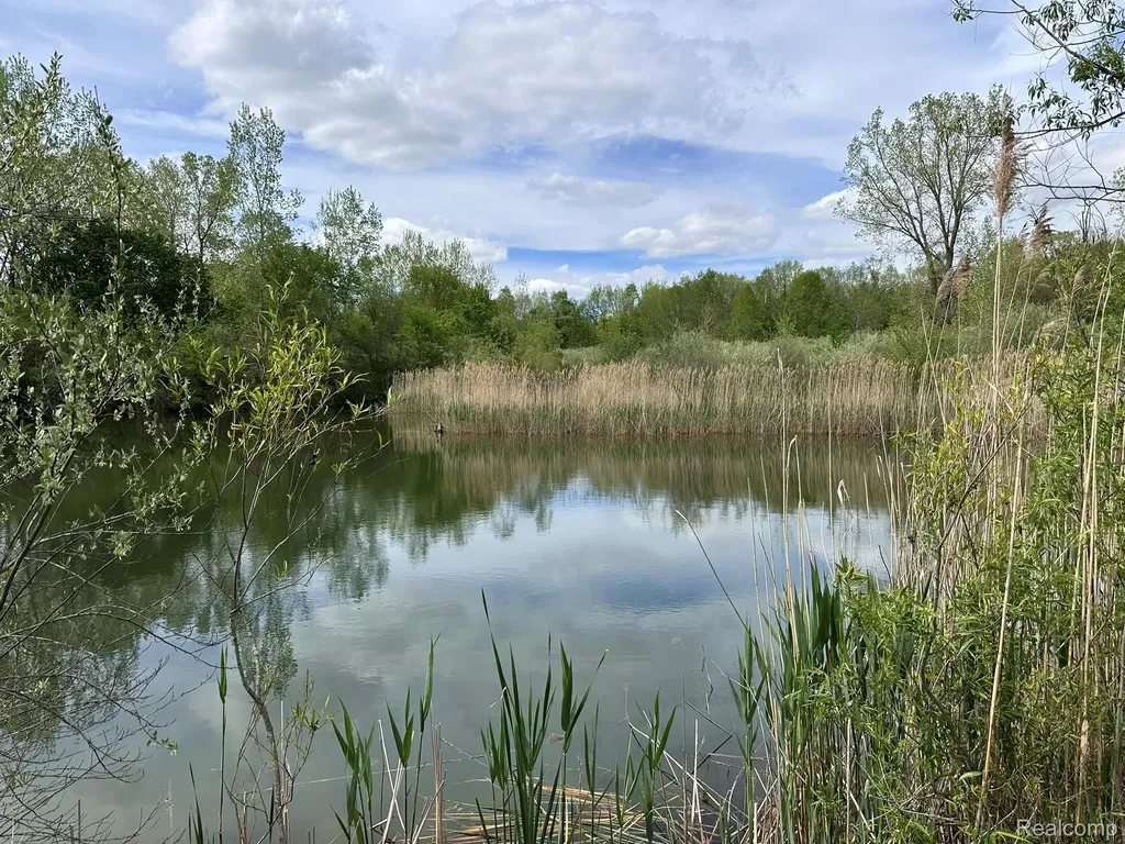 6250 Stine Road Goodland Township MI 48444