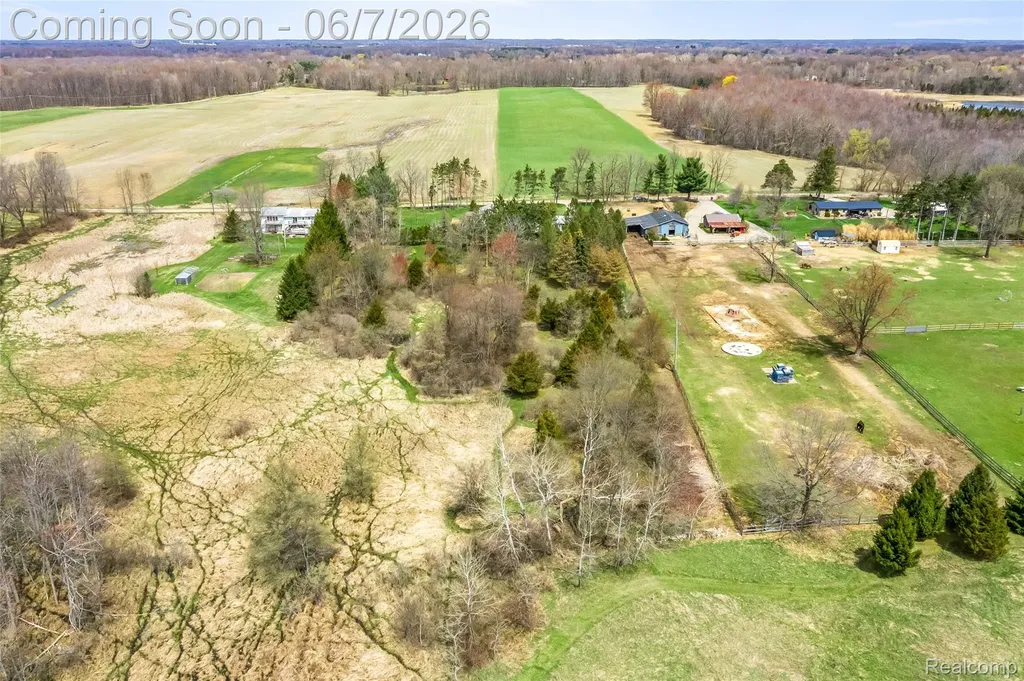 15395 Osius Road Lyndon Township MI 48118