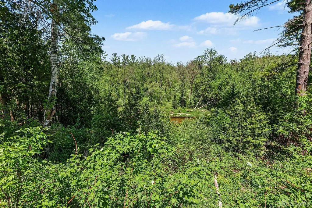 1107 Northern Trail Mills Township MI 48610