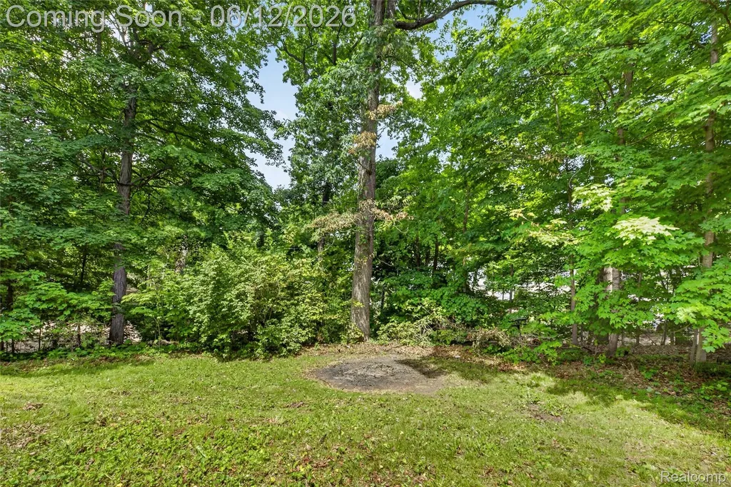 5831 Winans Drive Hamburg Township MI 48116