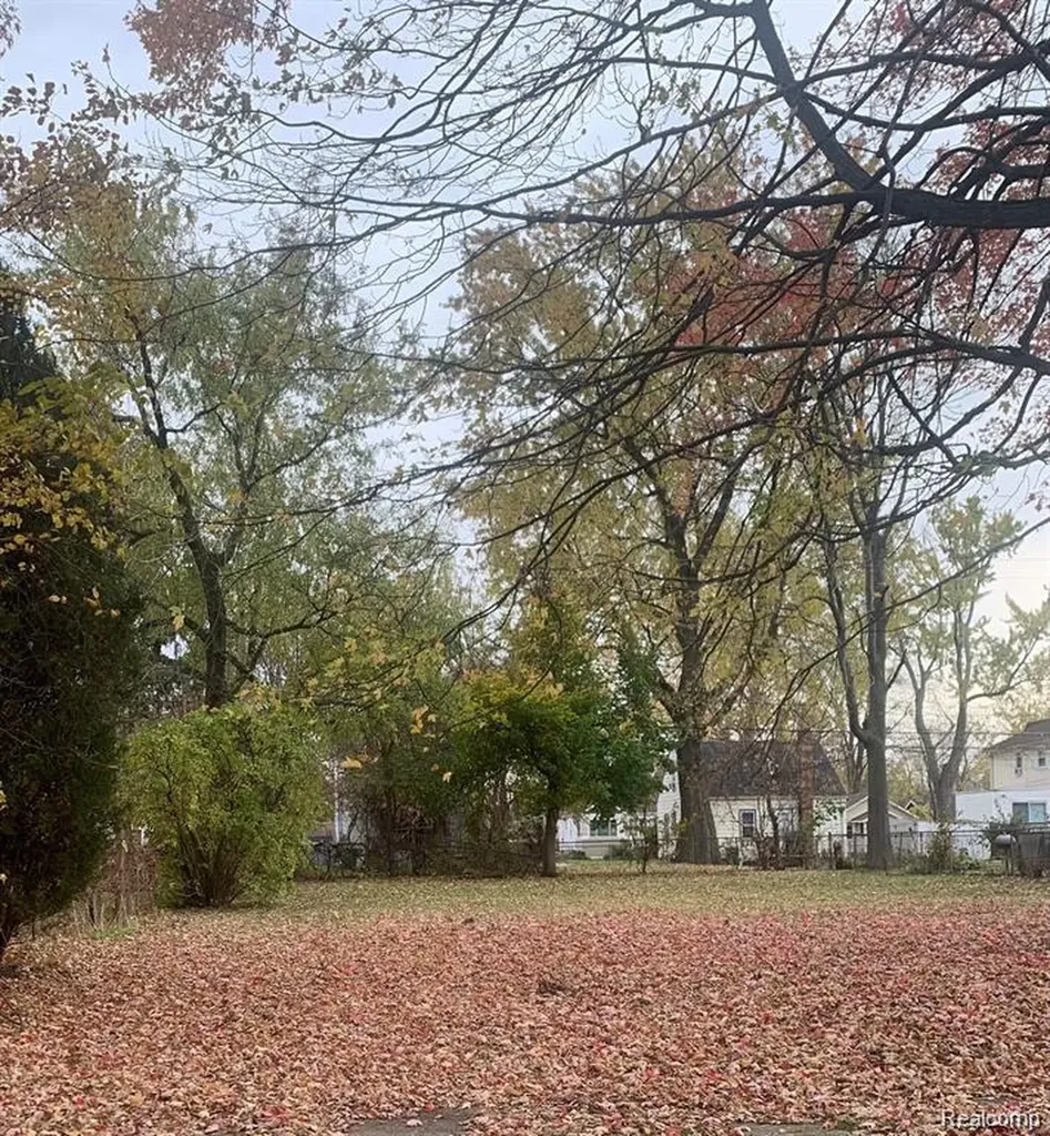 000 W Hayes Avenue Hazel Park City MI 48030