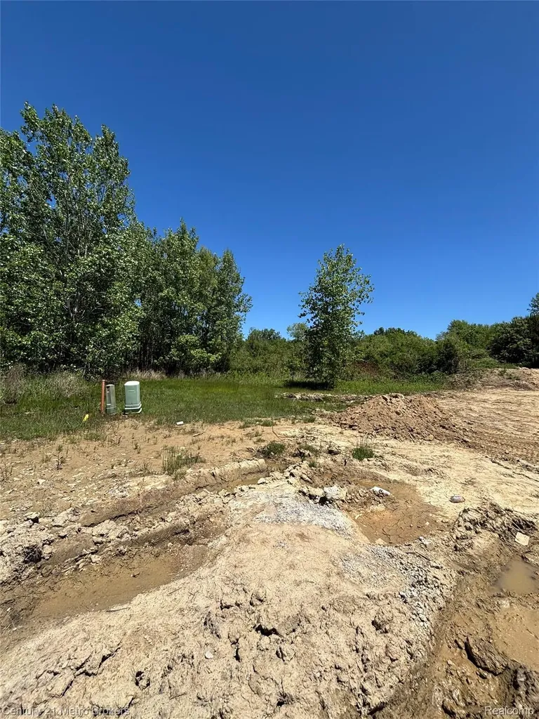 #63 Stillwater Drive Davison Township MI 48423