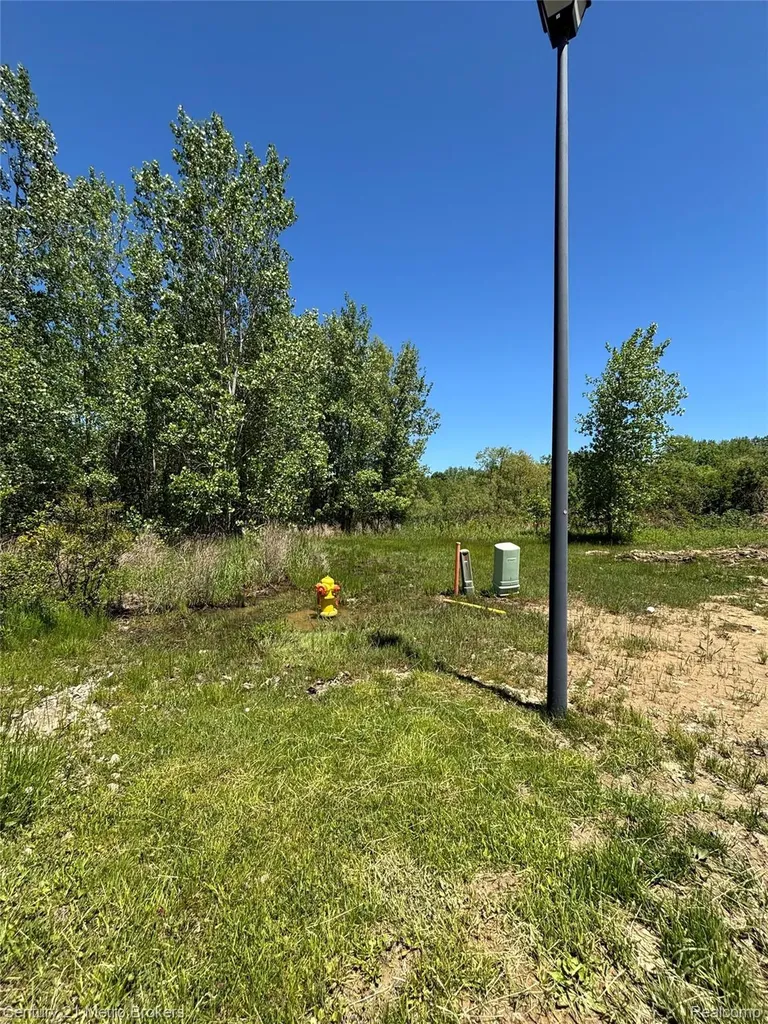 #63 Stillwater Drive Davison Township MI 48423