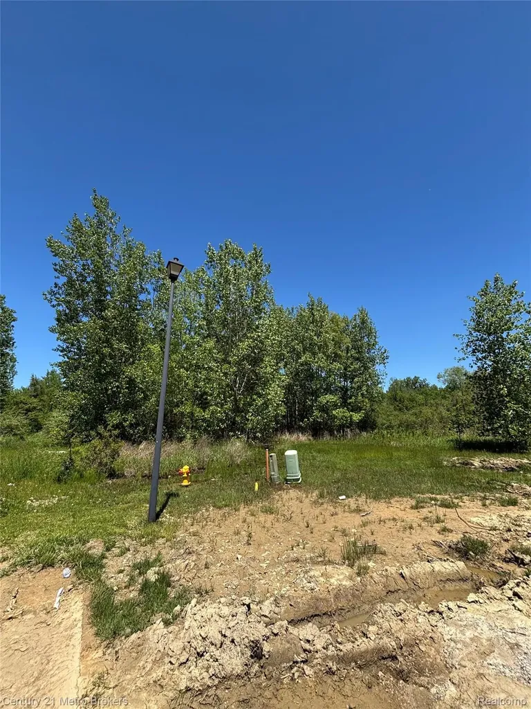 #63 Stillwater Drive Davison Township MI 48423