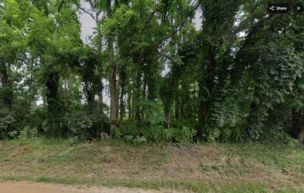 000 Wasson Road Unadilla Township MI 48137