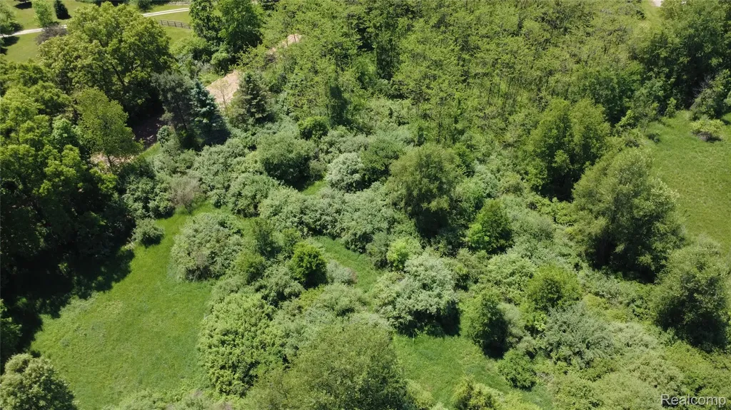 000 Wasson Road Unadilla Township MI 48137