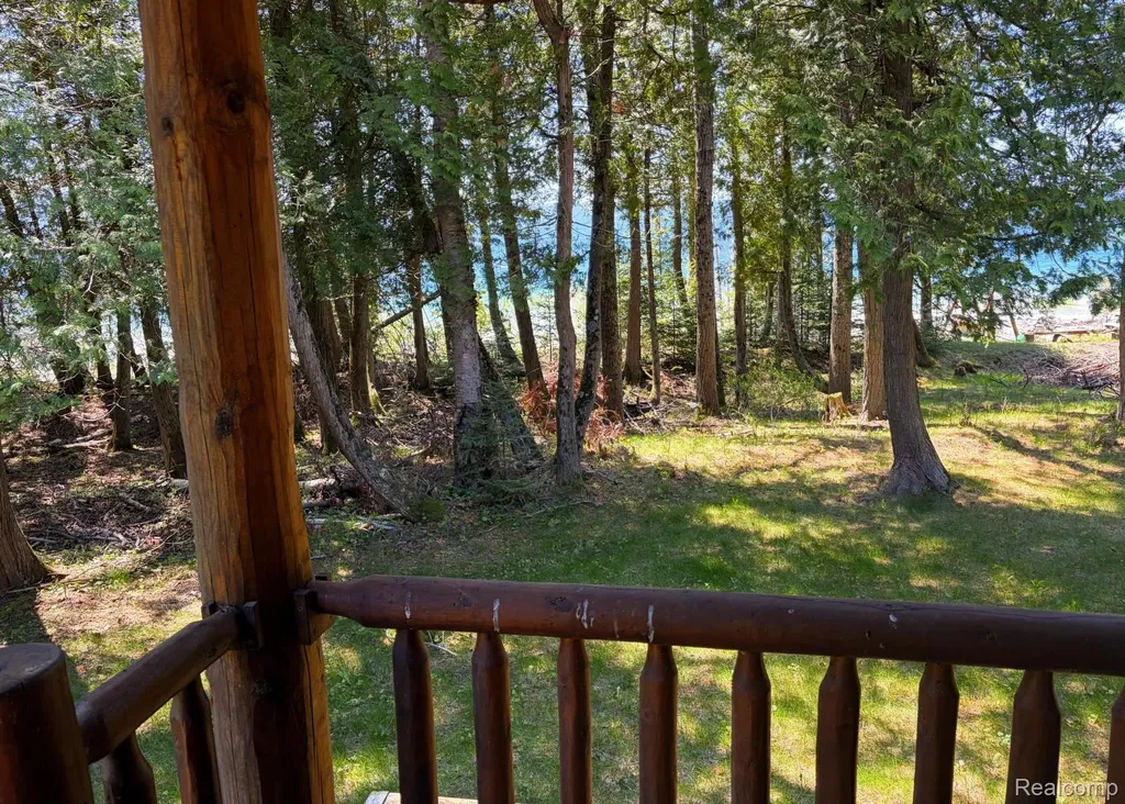 2995 S Lakeshore Drive Bois Blanc Township MI 49775