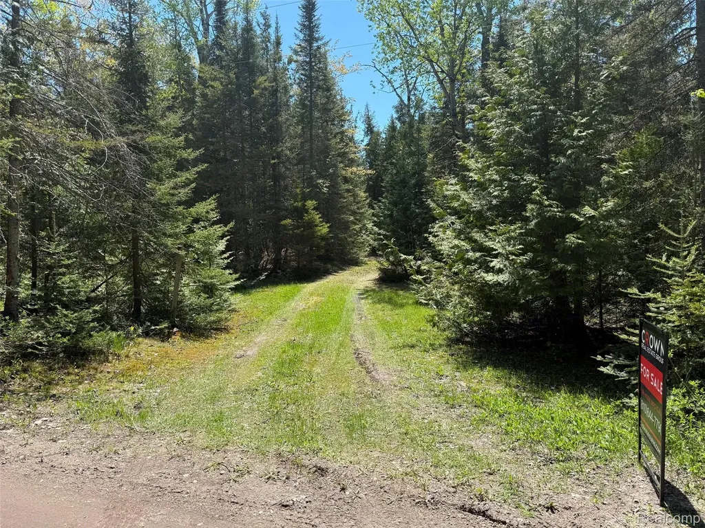 2995 S Lakeshore Drive Bois Blanc Township MI 49775