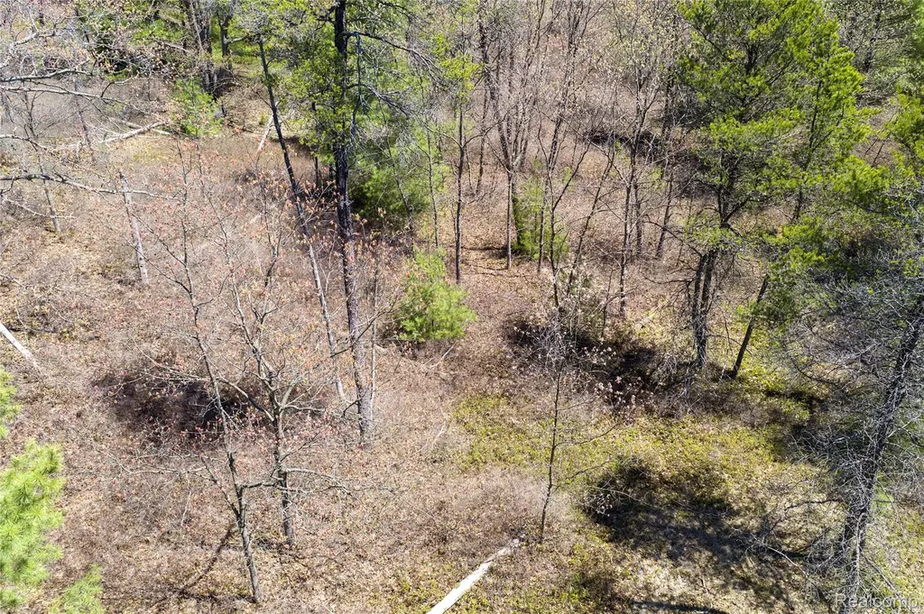000 Scott Road Baldwin Township MI 48730