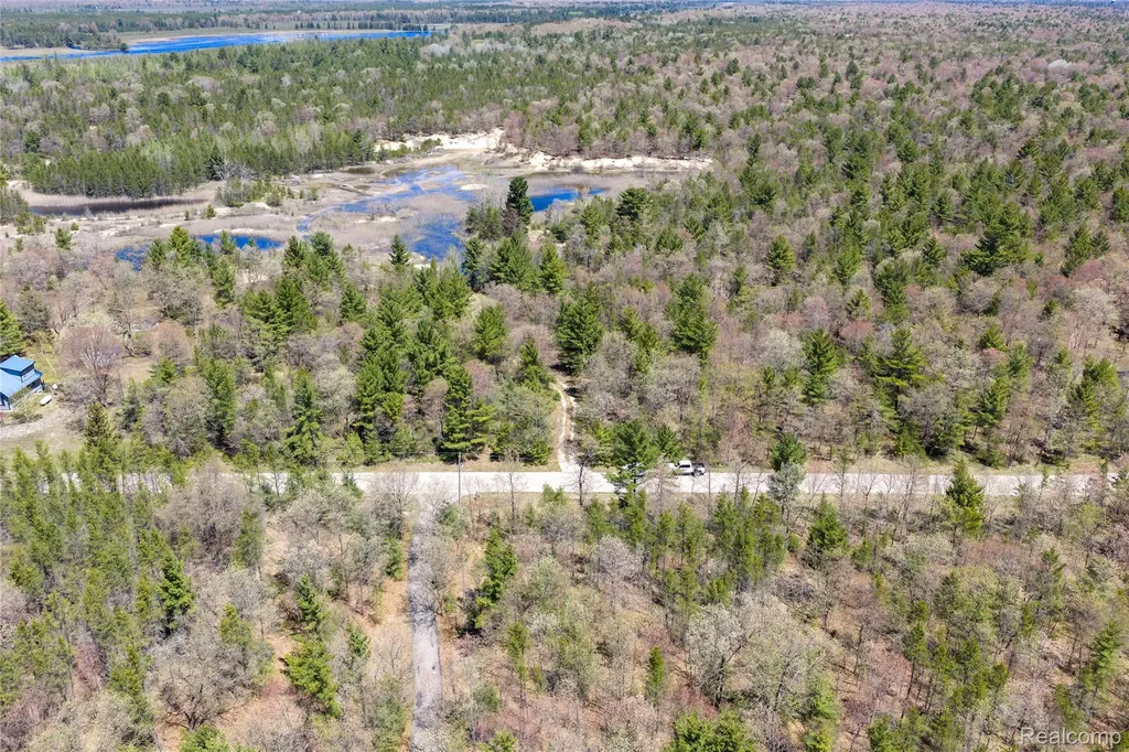 000 Scott Road Baldwin Township MI 48730