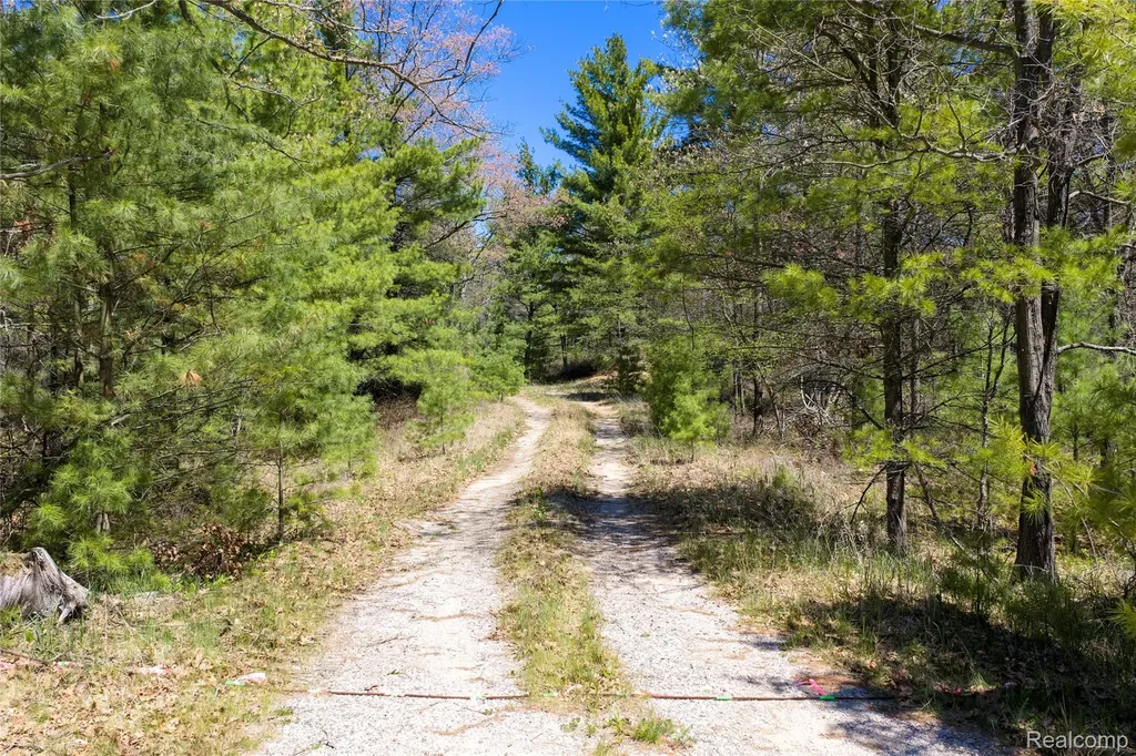 000 Scott Road Baldwin Township MI 48730