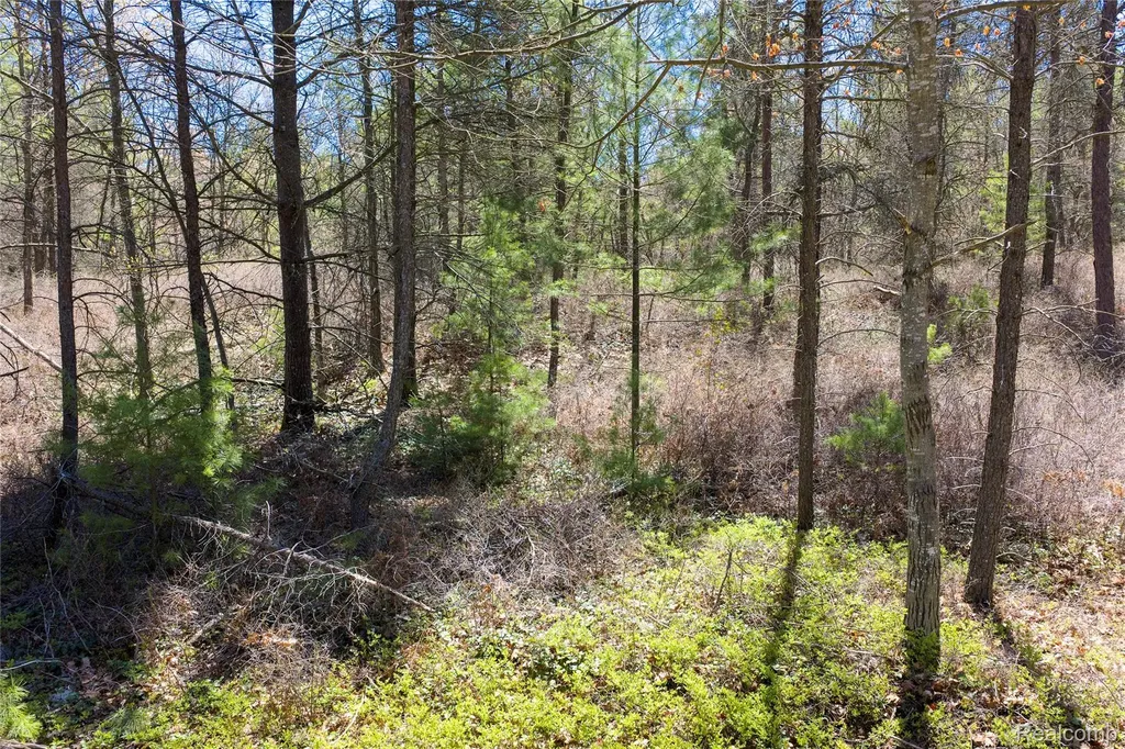 000 Scott Road Baldwin Township MI 48730