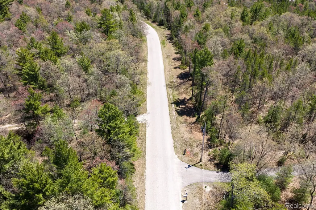 000 Scott Road Baldwin Township MI 48730