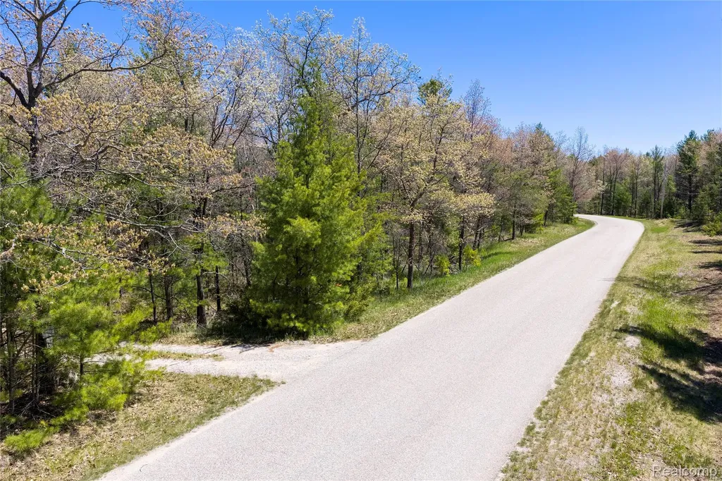 000 Scott Road Baldwin Township MI 48730