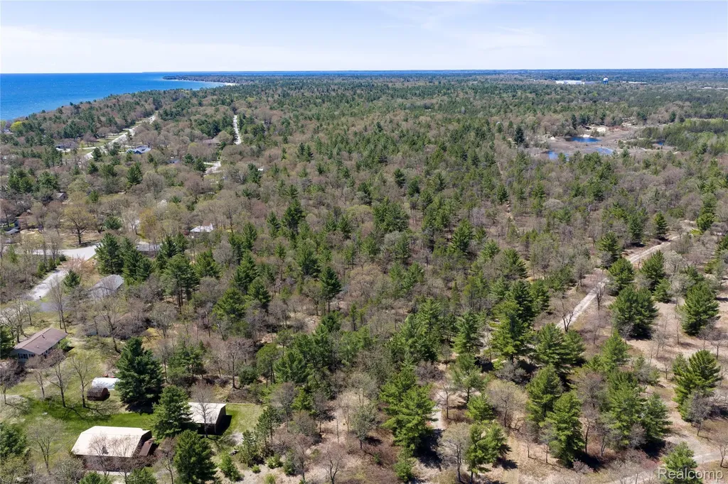 000 Scott Road Baldwin Township MI 48730