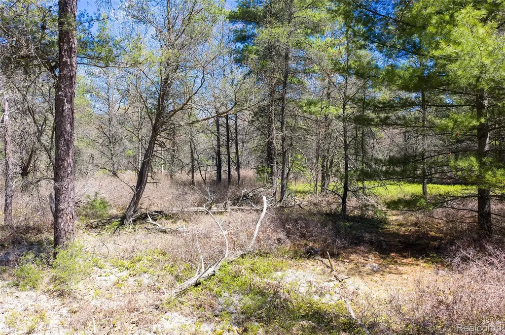 000 Scott Road Baldwin Township MI 48730