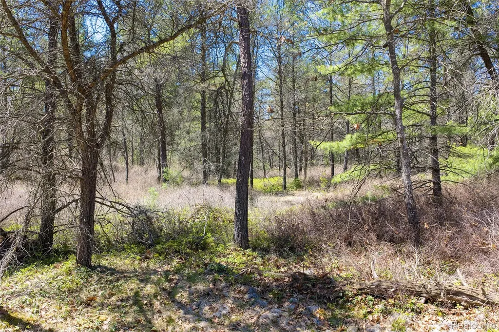 000 Scott Road Baldwin Township MI 48730