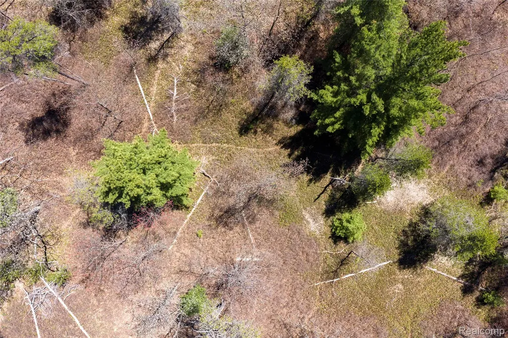 000 Scott Road Baldwin Township MI 48730