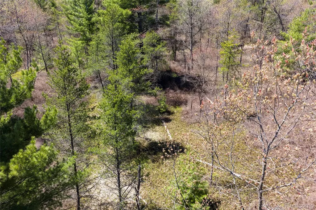 000 Scott Road Baldwin Township MI 48730