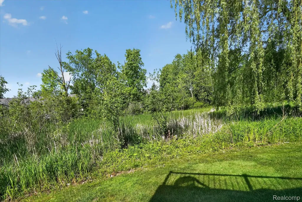 1087 Laurie Lane Davison Township MI 48423