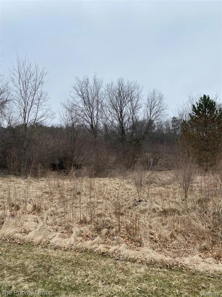 160 Great Pines Drive Oxford Charter Township MI 48371