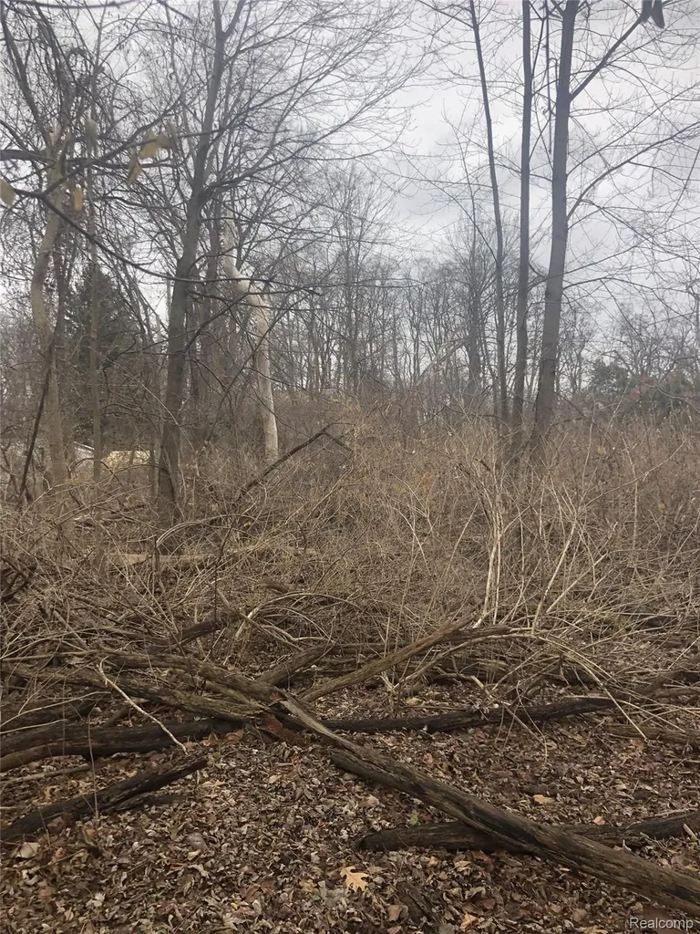 0 Massena Avenue Commerce Charter Township MI 48382