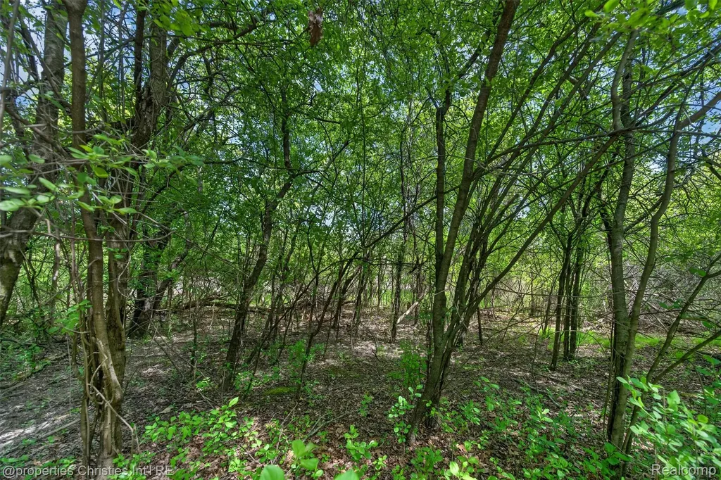 6390 Country Shire Lane West Bloomfield Charter Township MI 48323