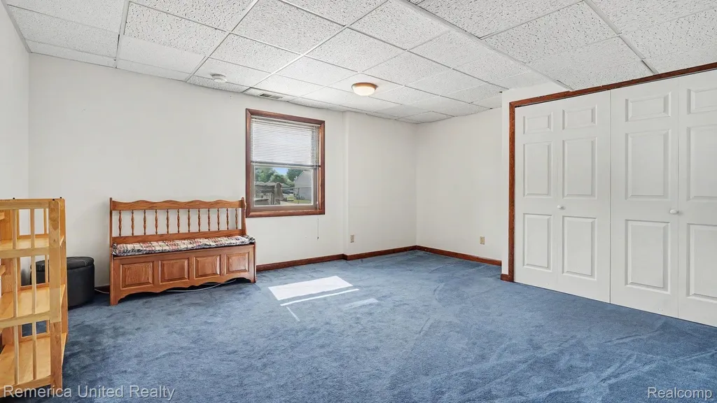 339 S Collins Street Fowlerville Village MI 48836