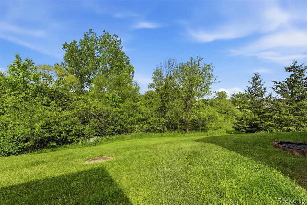 11006 Wood Run Circle Green Oak Township MI 48178