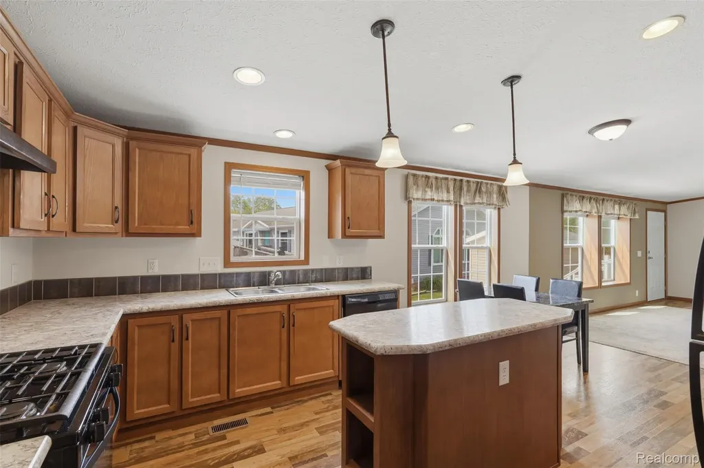 11006 Wood Run Circle Green Oak Township MI 48178