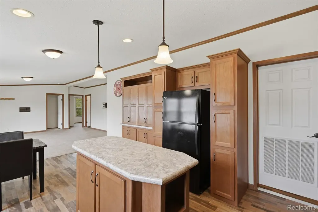 11006 Wood Run Circle Green Oak Township MI 48178