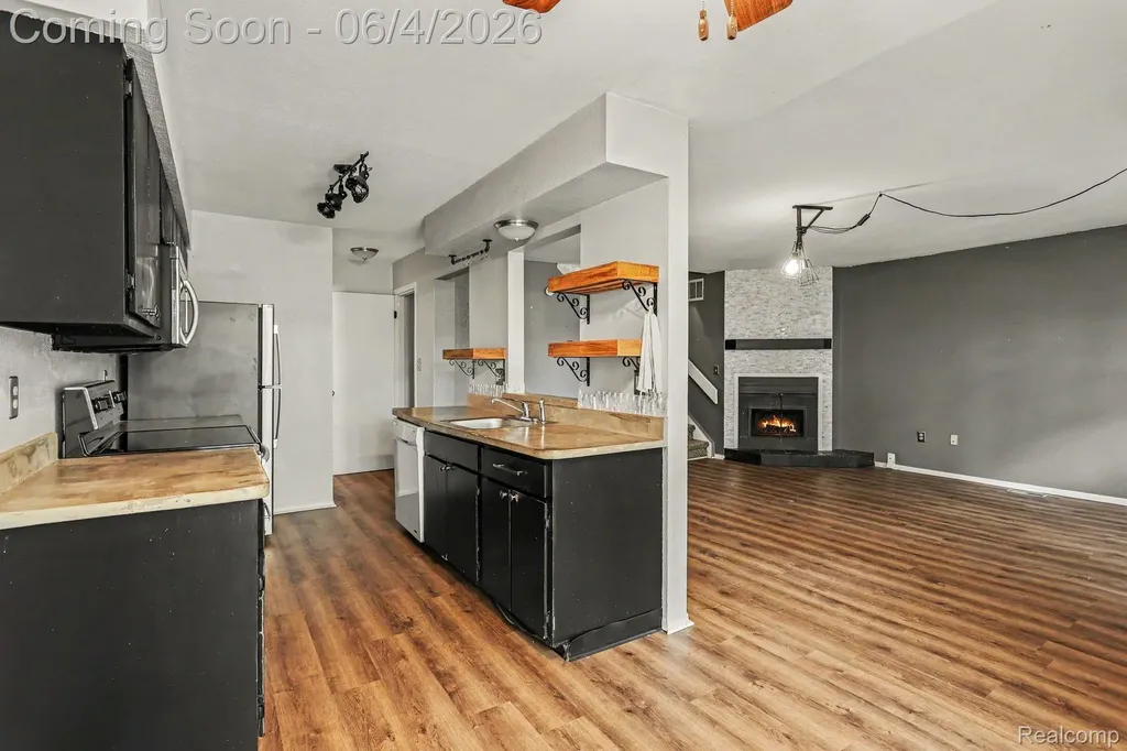 24831 Cashmere Court Southfield City MI 48033