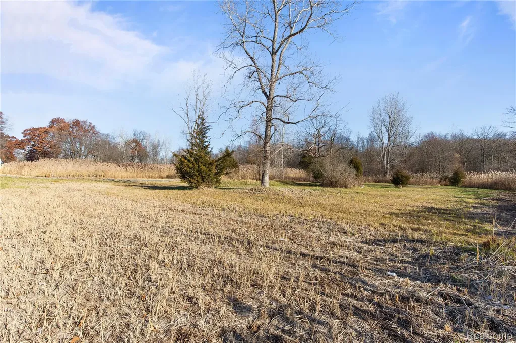 23901 Sumpter Road Belleville City MI 48111