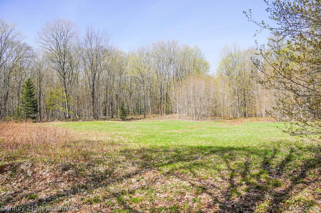 21821 Krenkel Mcmillan Township MI 49868