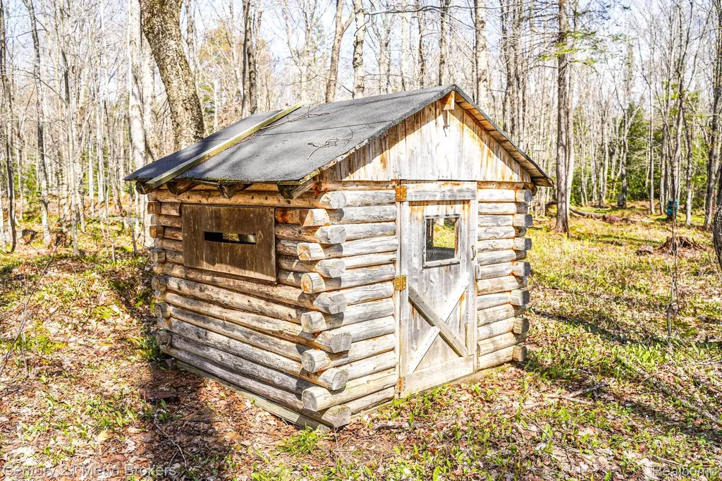 21821 Krenkel Mcmillan Township MI 49868