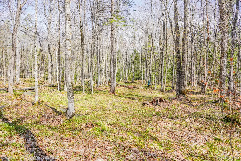 21821 Krenkel Mcmillan Township MI 49868