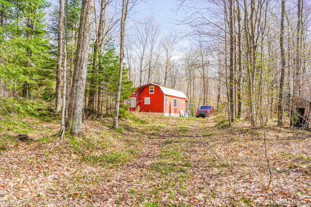 21821 Krenkel Mcmillan Township MI 49868
