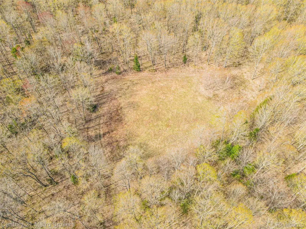 21821 Krenkel Mcmillan Township MI 49868