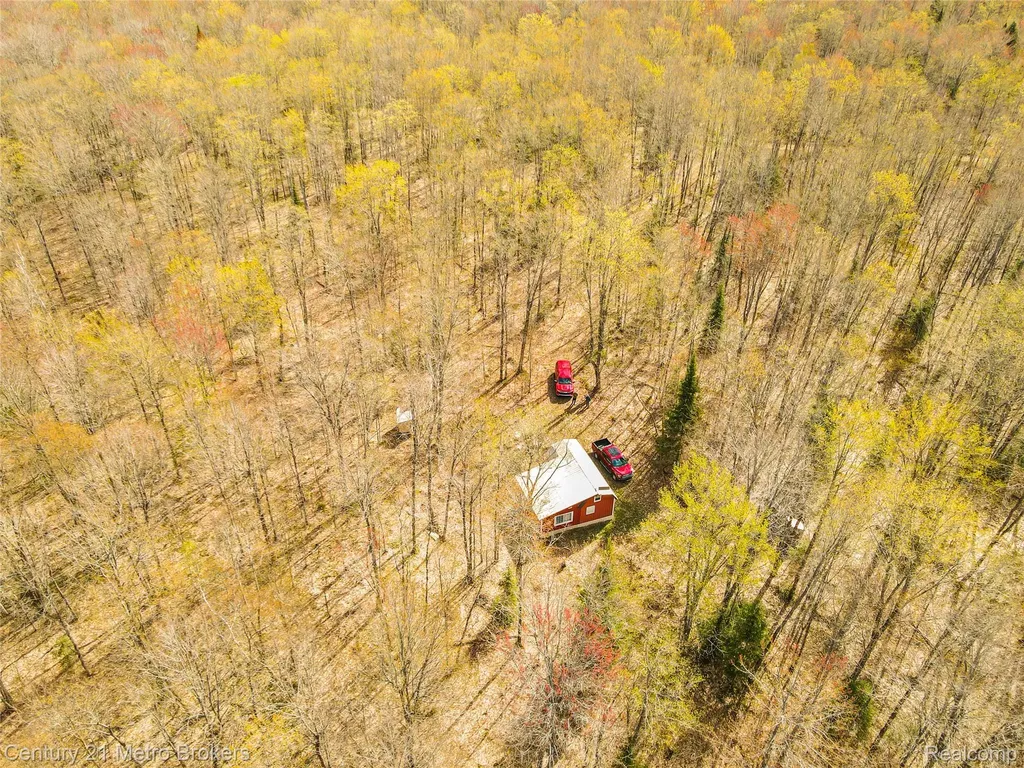 21821 Krenkel Mcmillan Township MI 49868