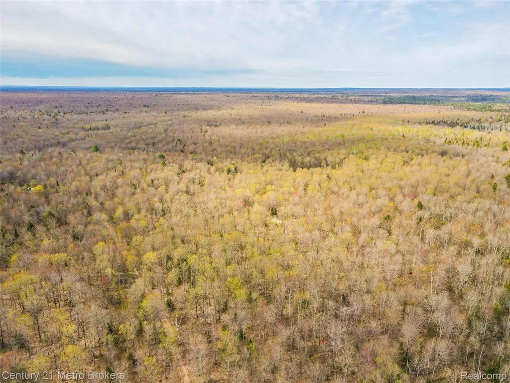 21821 Krenkel Mcmillan Township MI 49868
