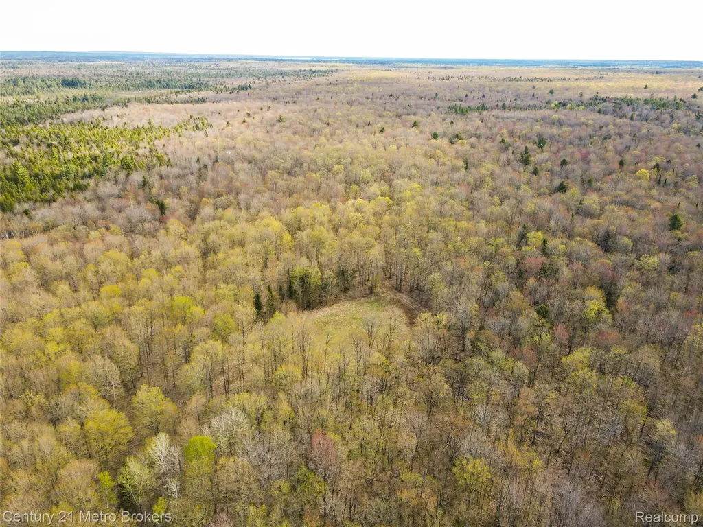 21821 Krenkel Mcmillan Township MI 49868
