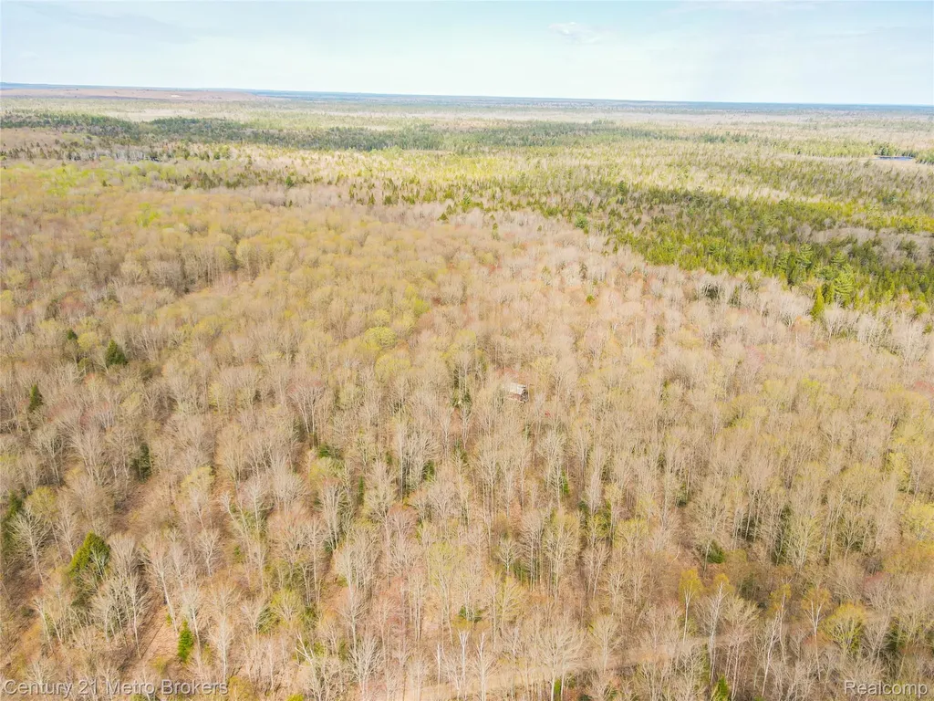 21821 Krenkel Mcmillan Township MI 49868