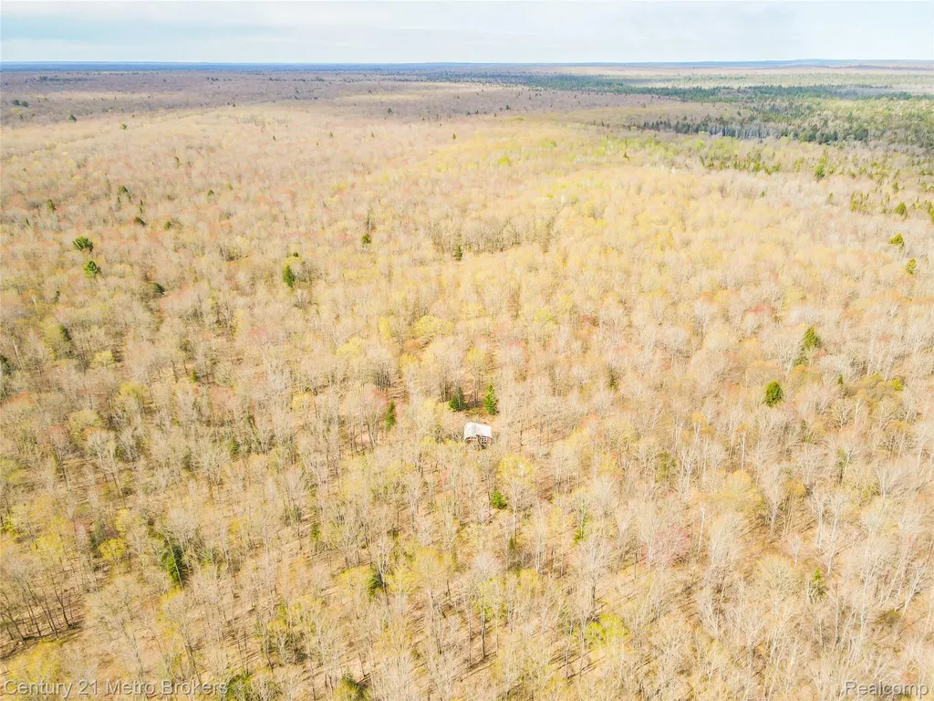 21821 Krenkel Mcmillan Township MI 49868